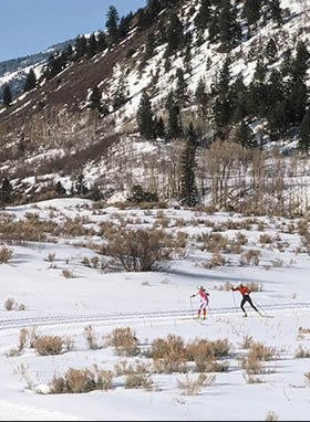 cross country skiing and skate technique lessons