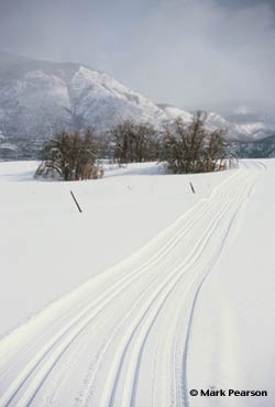 groomed classic ski tracks